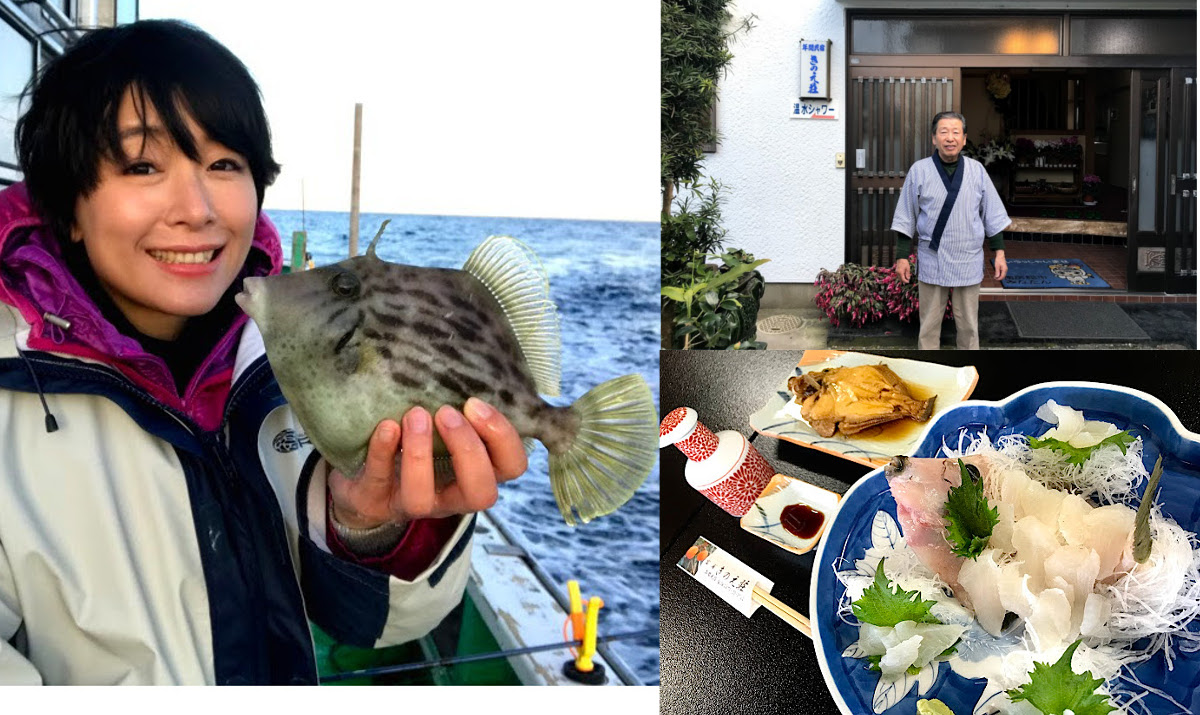 千葉 館山 手ぶら レクチャー付きで釣った魚を 宿の夕飯 で食べさせてもらおう